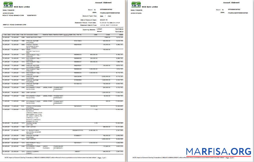 Realistic Pakistan MCB bank statement word real example